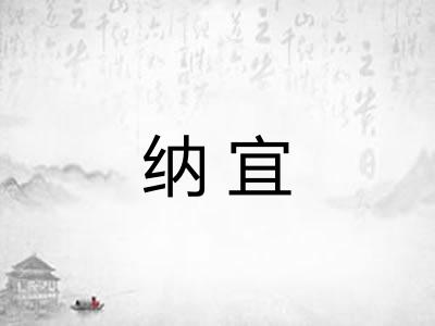纳宜 纳宜
