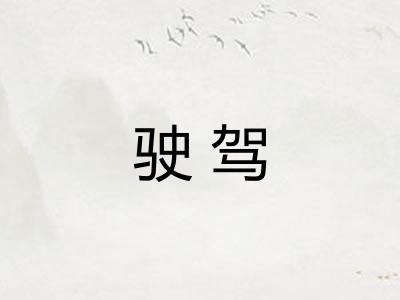 驶驾 驶驾