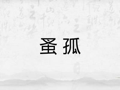 蚤孤 蚤孤