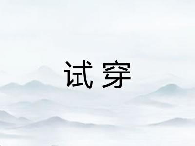 试穿 试穿