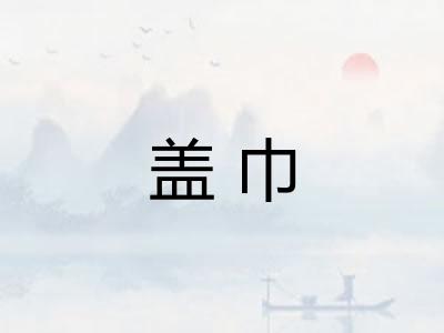 盖巾 盖巾