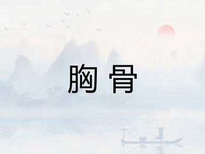 胸骨 胸骨