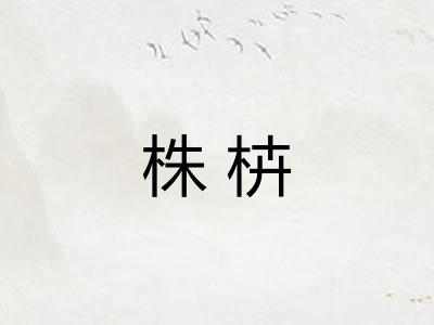 株枿 株枿