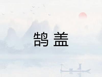 鹄盖 鹄盖