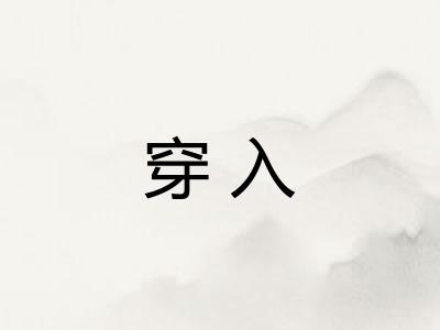 穿入 穿入