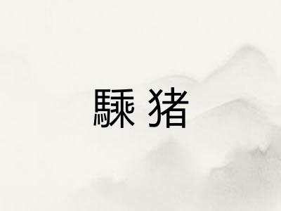 騬猪