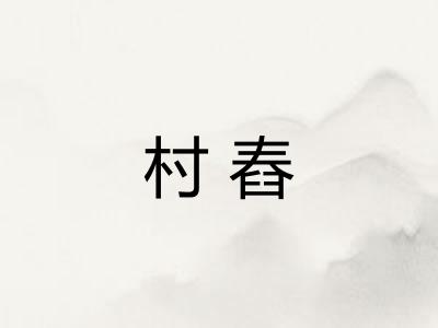 村舂 村舂