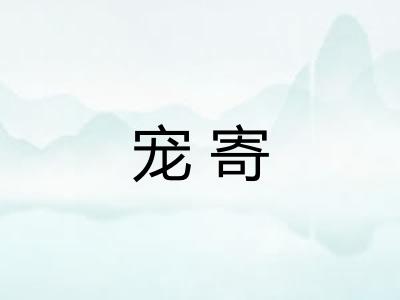 宠寄 宠寄