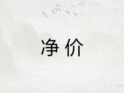 净价 净价