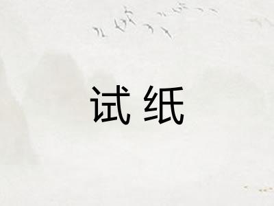试纸