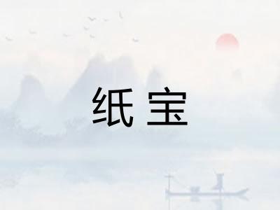 纸宝 纸宝