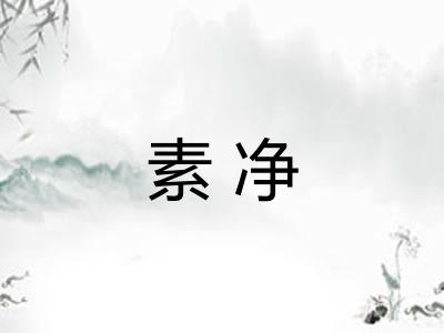 素净 素净