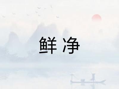 鲜净 鲜净