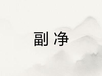 副净 副净