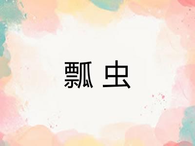 瓢虫 瓢虫