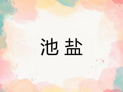 池盐 池盐