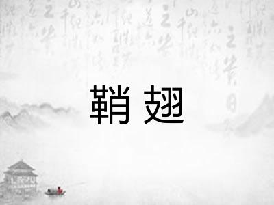 鞘翅 鞘翅