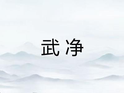 武净 武净