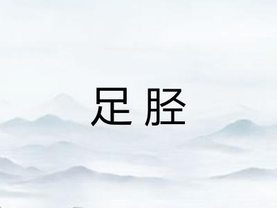 足胫