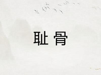 耻骨 耻骨