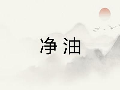 净油 净油