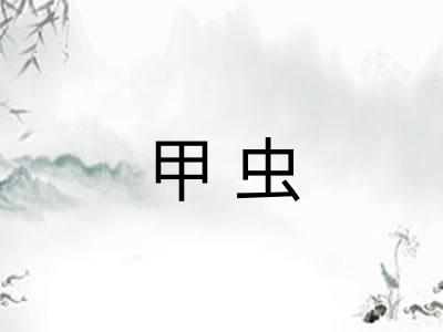 甲虫