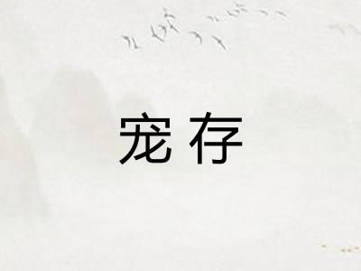 宠存 宠存