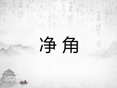 净角