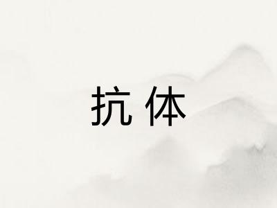 抗体 抗体