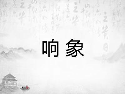 响象 响象