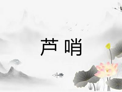 芦哨