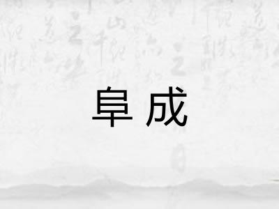 阜成 阜成