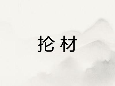 抡材 抡材