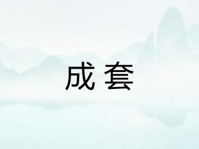 成套 成套