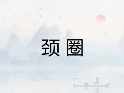 颈圈 颈圈