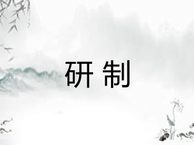 研制 研制