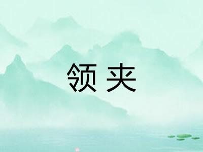 领夹