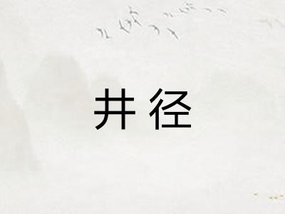 井径 井径