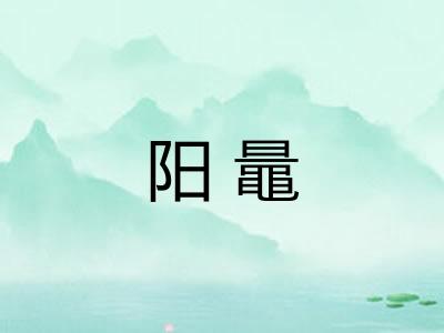 阳鼂 阳鼂