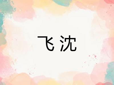 飞沈 飞沈