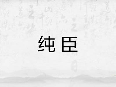 纯臣 纯臣