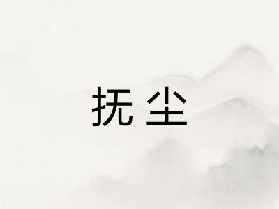 抚尘 抚尘