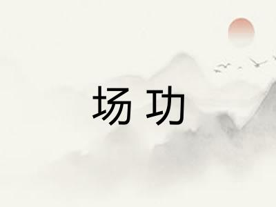 场功 场功