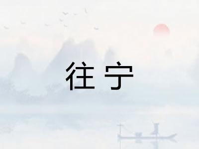 往宁 往宁