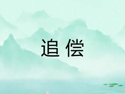 追偿 追偿