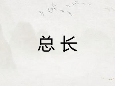 总长 总长