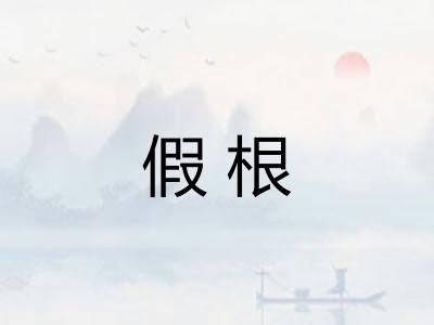 假根 假根