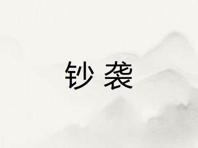 钞袭 钞袭