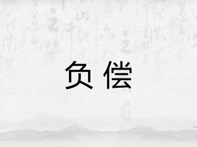 负偿 负偿