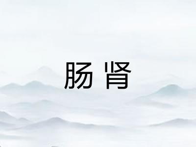 肠肾 肠肾